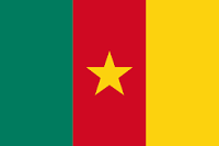 drapeau cameroun