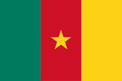 Drapeau Cameroun